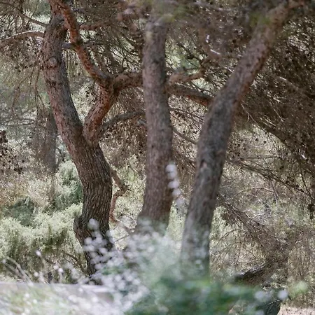 Beautiful 3 Minutes Near Cala Jondal