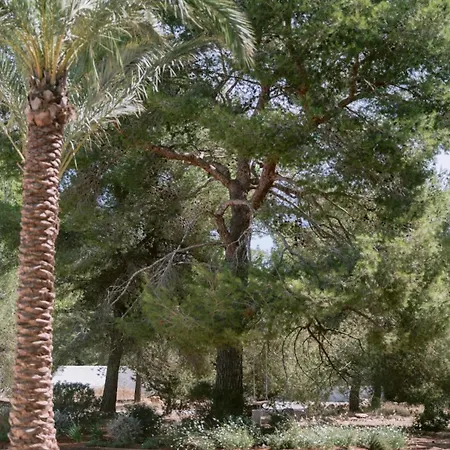 Beautiful 3 Minutes Near Cala Jondal * BALEARIC ISLANDS